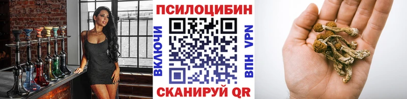 Галлюциногенные грибы GOLDEN TEACHER цены наркотик Трубчевск